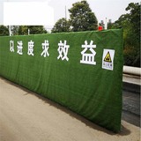 草坪 (53).jpg
