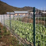 三角折弯护栏 (45).jpg