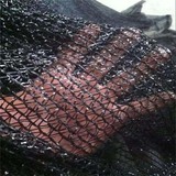 遮阳网 (63).jpg
