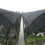 遮阳网 (188).jpg