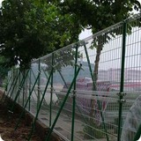 双圈护栏网 (52).jpg