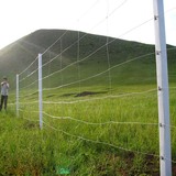 草原网 (17).jpg