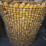 粮仓网 (1).jpg