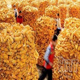粮仓网 (4).jpg