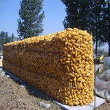 粮仓网 (2).jpg