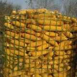 粮仓网 (9).jpg