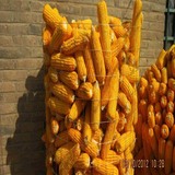粮仓网 (6).jpg
