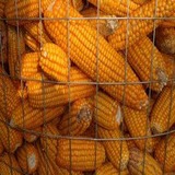 粮仓网 (5).jpg