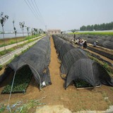 盖土网 (89).jpg
