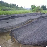 盖土网 (113).jpg